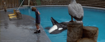 free willy gif