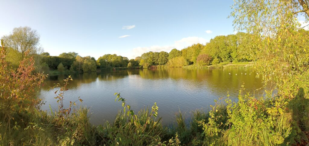 infinix zero 8 photos