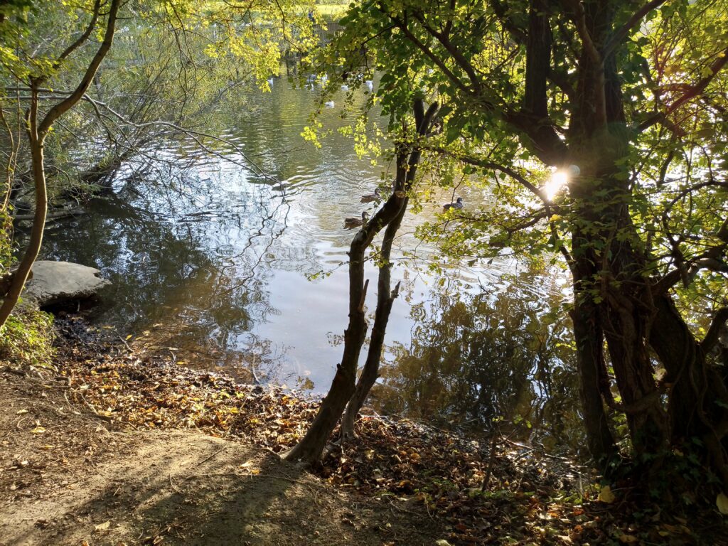 infinix zero 8 photos